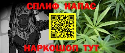 крисы Ирбит