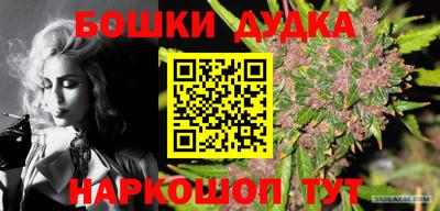 крисы Ирбит