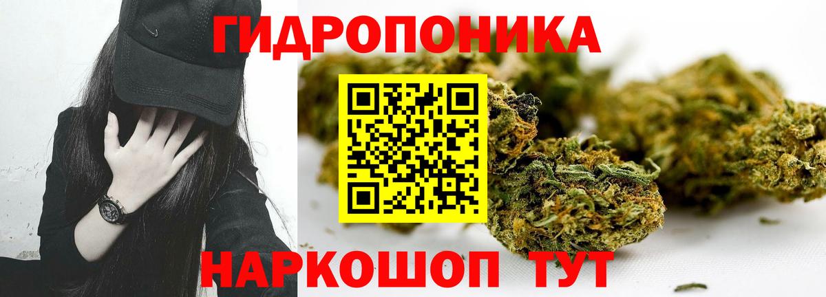 Конопля сатива  МАРИХУАНА AK-47  Канабис AK-47  Бошки Шишки индика  Димитровград  Вход с VPN 
